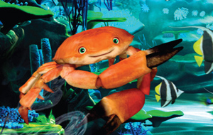 the dolphin