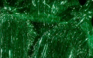 matrix mash