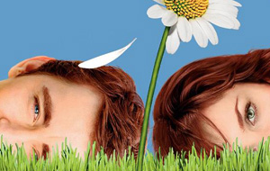 pushing daisies season 1